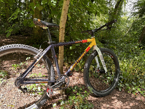 Gary Fisher hardtail singlespeed